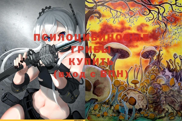 МДПВ Кулебаки