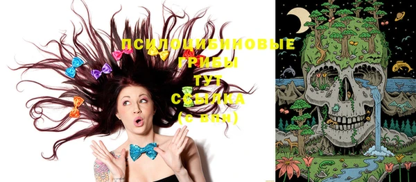 бутират Кукмор