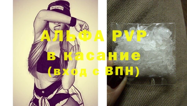 амф Корсаков