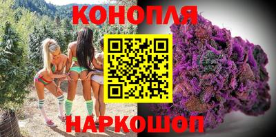 стафф Заволжье