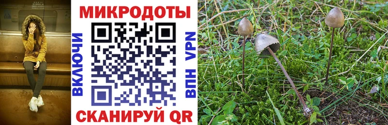 Галлюциногенные грибы Magic Shrooms  Моздок 